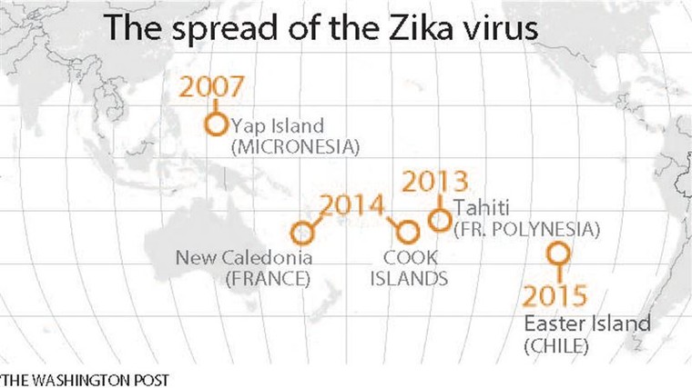  Những điều cần biết về virus 'ăn não' Zika đang lan ra toàn cầu ảnh 7