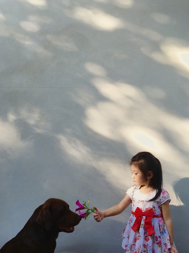 16 bức ảnh đẹp nhất 2015 chụp bằng iPhone ảnh 7