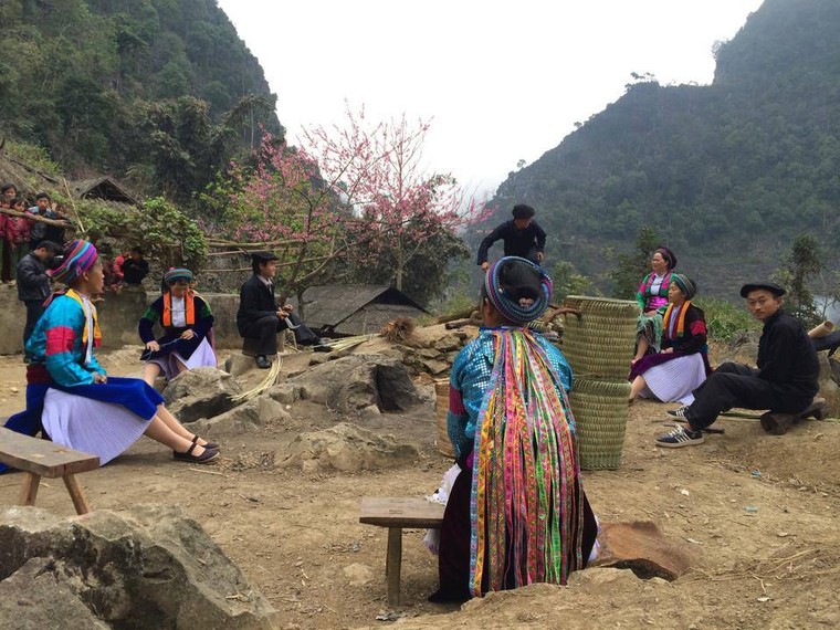 Vẻ đẹp khó cưỡng của những cây đào cổ khổng lồ ảnh 4