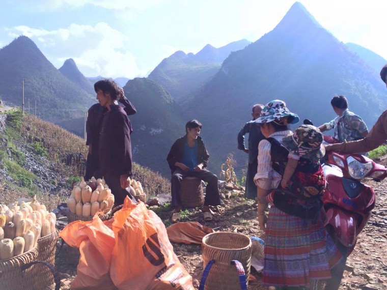 Vẻ đẹp khó cưỡng của những cây đào cổ khổng lồ ảnh 8