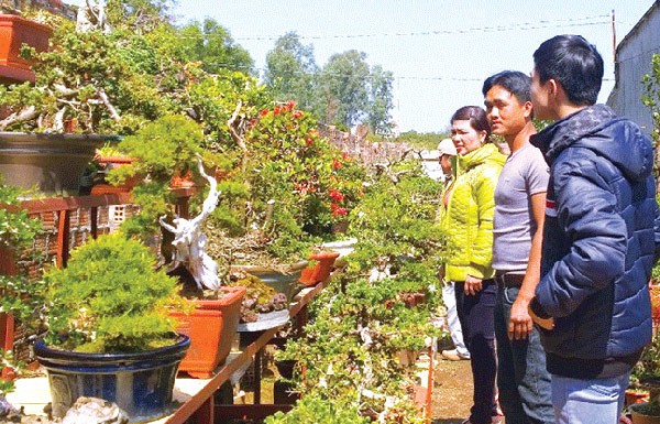 Đại gia rứt ruột bán rẻ siêu cây trả nợ trước Tết ảnh 2