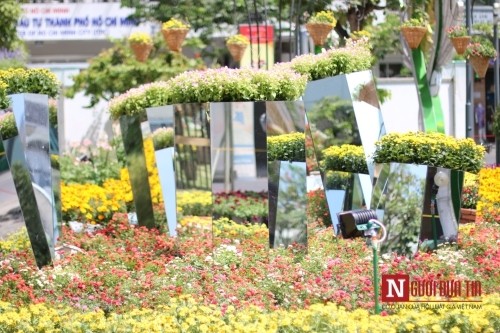 Đường hoa Nguyễn Huệ ngập tràn sắc xuân ngày khai hội ảnh 3