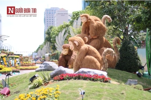 Đường hoa Nguyễn Huệ ngập tràn sắc xuân ngày khai hội ảnh 5