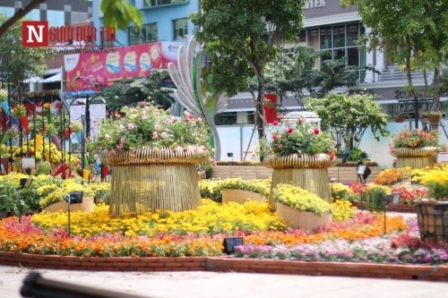 Đường hoa Nguyễn Huệ ngập tràn sắc xuân ngày khai hội ảnh 7