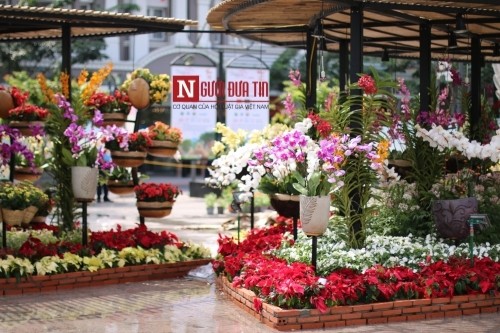 Đường hoa Nguyễn Huệ ngập tràn sắc xuân ngày khai hội ảnh 8