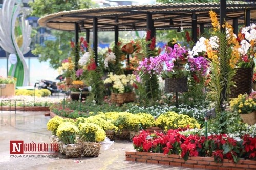 Đường hoa Nguyễn Huệ ngập tràn sắc xuân ngày khai hội ảnh 9