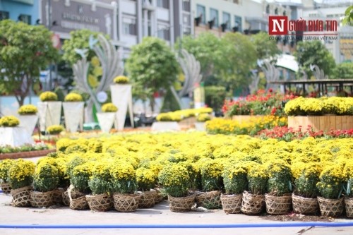 Đường hoa Nguyễn Huệ ngập tràn sắc xuân ngày khai hội ảnh 10