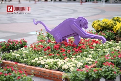 Đường hoa Nguyễn Huệ ngập tràn sắc xuân ngày khai hội ảnh 11