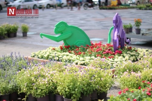Đường hoa Nguyễn Huệ ngập tràn sắc xuân ngày khai hội ảnh 14