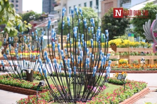 Đường hoa Nguyễn Huệ ngập tràn sắc xuân ngày khai hội ảnh 17