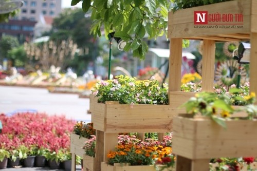 Đường hoa Nguyễn Huệ ngập tràn sắc xuân ngày khai hội ảnh 19