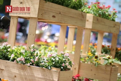 Đường hoa Nguyễn Huệ ngập tràn sắc xuân ngày khai hội ảnh 23