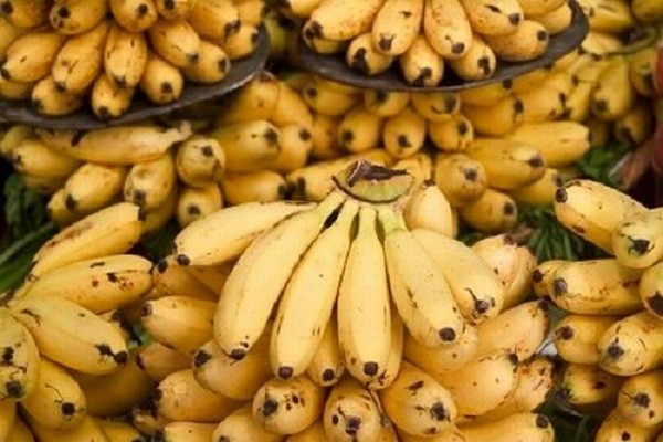 12 lý do bạn nên ăn chuối trong ngày Tết ảnh 1