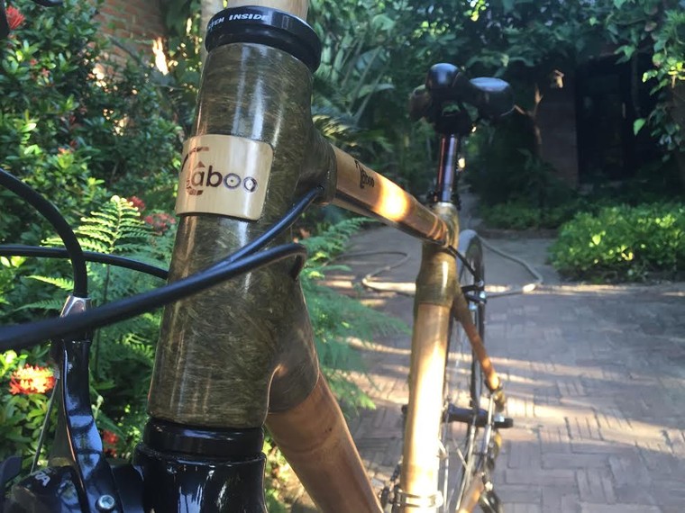 Xe đạp tre Việt: Hàng hiệu 100 triệu của tay chơi EU ảnh 2