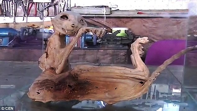 Xác ướp quái thú bí ẩn được tìm thấy ở Thổ Nhĩ Kỳ ảnh 4