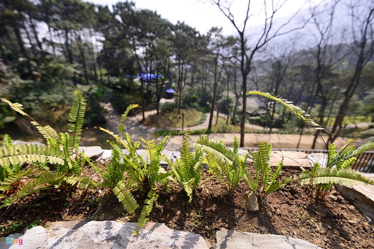 Toàn cảnh resort hoành tráng không phép ở Ba Vì ảnh 13