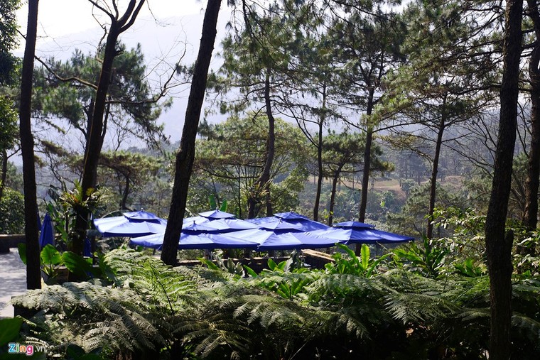 Toàn cảnh resort hoành tráng không phép ở Ba Vì ảnh 11