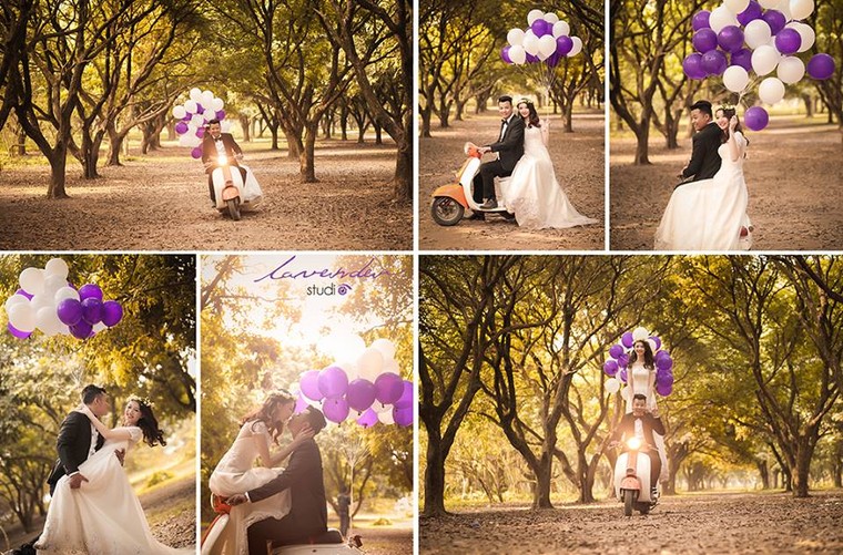 Những địa điểm chụp ảnh cưới đẹp mê đắm ở miền Bắc ảnh 1