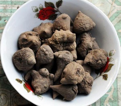 'Sợ tái mặt' những món ăn 'kinh dị' vùng cao ảnh 1