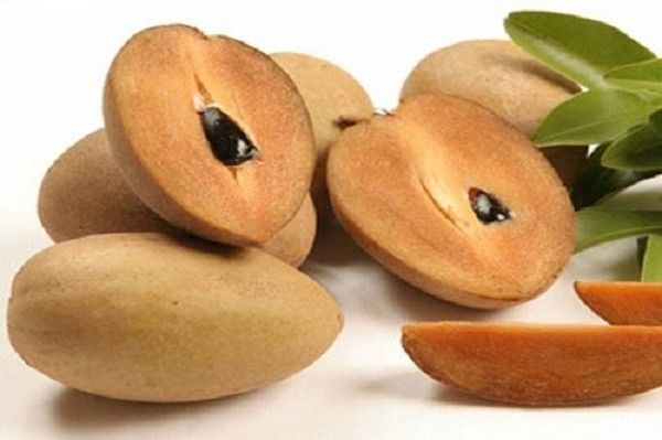 Trái hồng xiêm có tác dụng phòng chống ung thư cực hiệu quả ảnh 1