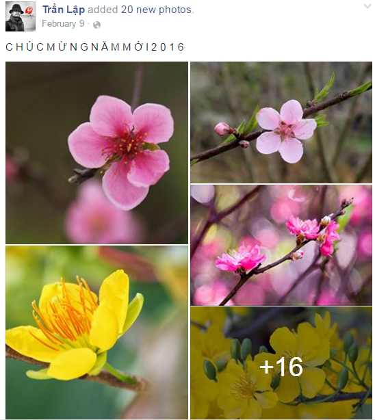 Nhìn lại nụ cười Trần Lập trong chặng đường 'chiến đấu' ung thư ảnh 17