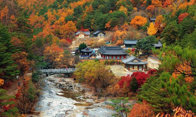 Vẻ đẹp mê đắm những địa danh xuất hiện trong 'Hậu duệ mặt trời' ảnh 1