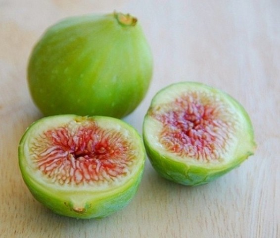 Bài thuốc nam chữa sỏi mật cực kì hiệu quả từ quả sung ảnh 1