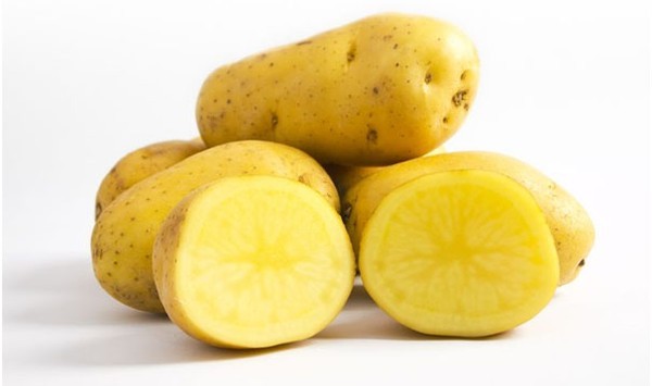 Những thực phẩm mẹ bầu 'tuyệt đối' không được ăn ảnh 4