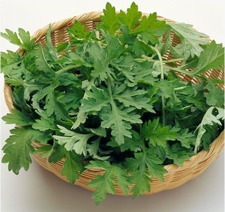 Những thực phẩm mẹ bầu 'tuyệt đối' không được ăn ảnh 5