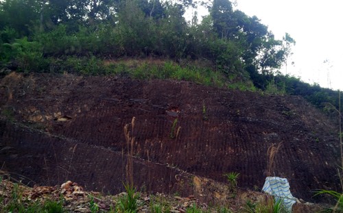 Bí thư huyện đào xuyên núi để 'làm hầm rượu' ảnh 3