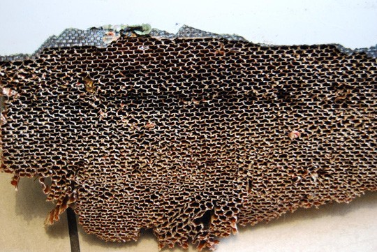 Mảnh vỡ ở Mozambique gần như chắc chắn là của MH370 ảnh 2