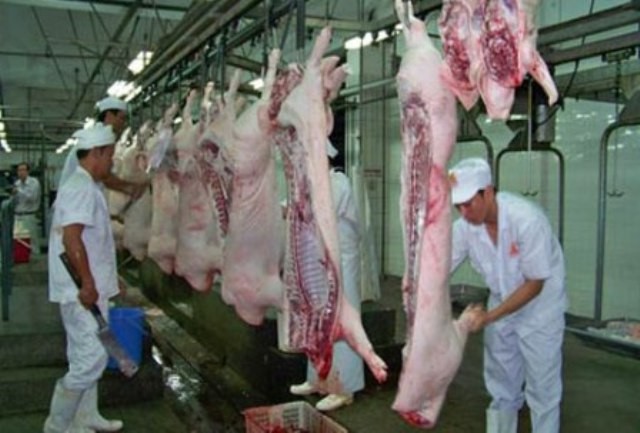 Người Việt đã ăn 6 tấn chất cấm trong thịt heo? ảnh 1