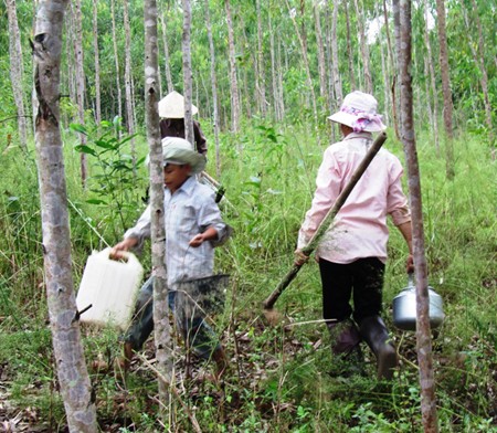 Về 'lòng chảo' Mường Lò thưởng thức đặc sản từ dế mèn ảnh 1