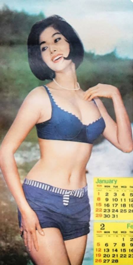 Thẩm Thúy Hằng: Nhan sắc chim sa, cá lặn đến thảm họa nghiệt ngã ảnh 3