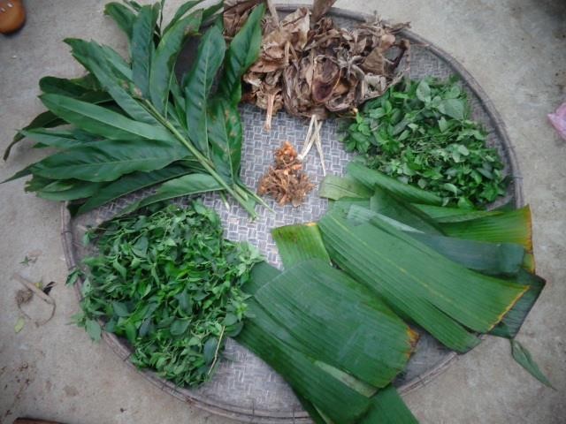 Xôi ngũ sắc Tây Bắc làm ‘đắm lòng’ du khách ảnh 1