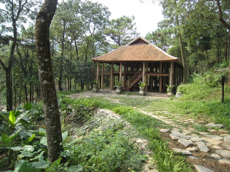 Lý giải vì sao 53ha Vườn quốc gia Ba Vì có giá 8 tỷ đồng ảnh 1