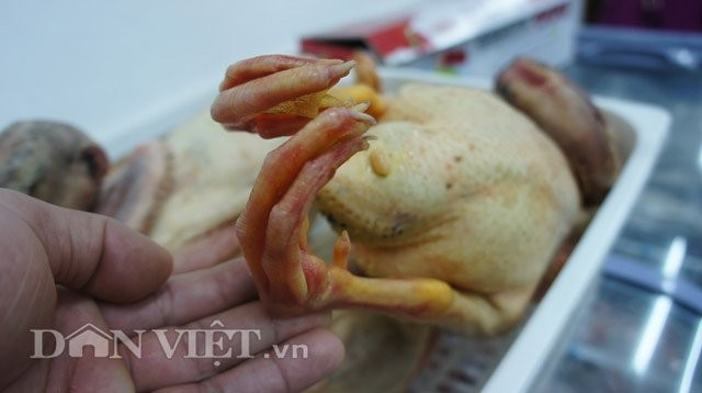 Hỏng đầm tôm, ông Đoàn Văn Vươn tiếp thị vịt sạch ở Thủ đô ảnh 2