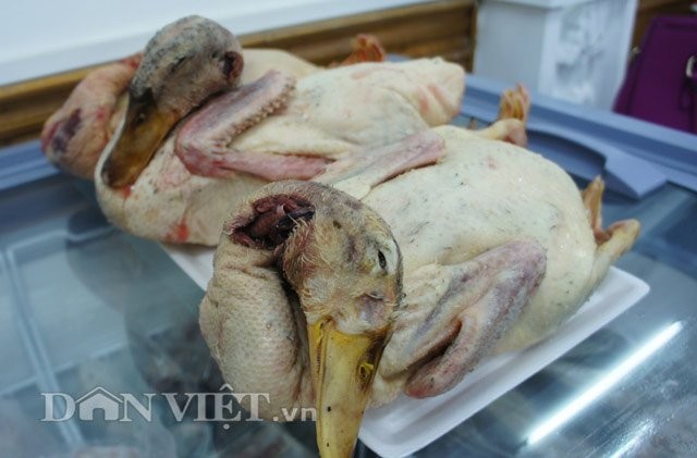 Hỏng đầm tôm, ông Đoàn Văn Vươn tiếp thị vịt sạch ở Thủ đô ảnh 5