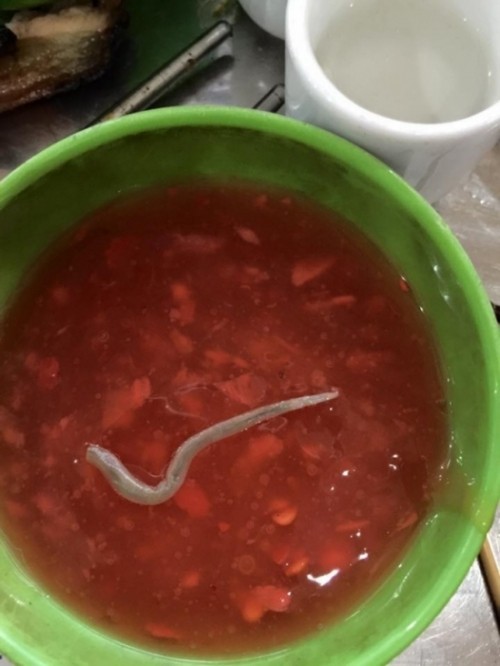 Hà Nội: Giật mình lòng nướng 'nhồi' sán dài chục cm ảnh 2