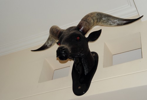 Choáng vì Minh Béo không khẩu dâm... biệt thự bạc tỷ là giả ảnh 7