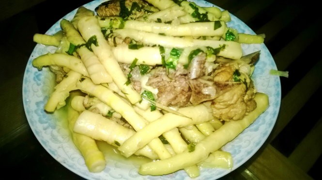 Mùa măng sặt Tây Bắc ảnh 5