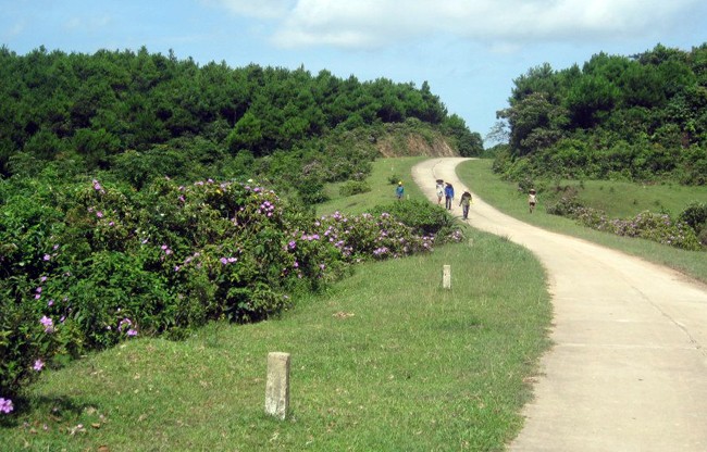 Khám phá Vĩnh Thực, đảo xa nơi địa đầu tổ quốc ảnh 4