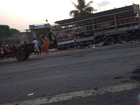 Chùm ảnh: Gần 100 con heo nằm chết la liệt sau vụ tai nạn ảnh 7