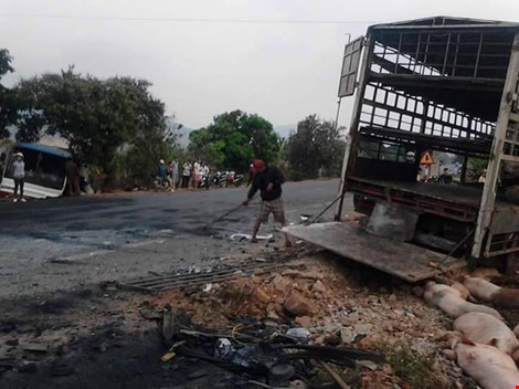 Chùm ảnh: Gần 100 con heo nằm chết la liệt sau vụ tai nạn ảnh 8