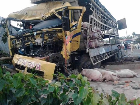 Chùm ảnh: Gần 100 con heo nằm chết la liệt sau vụ tai nạn ảnh 9