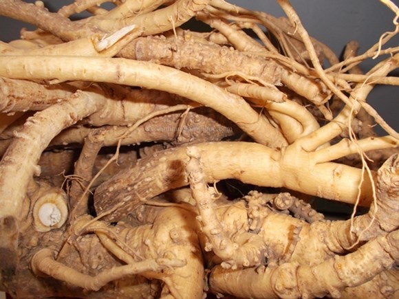 Người Việt Nam vẫn đang ‘chết trên đống thuốc’ ảnh 3