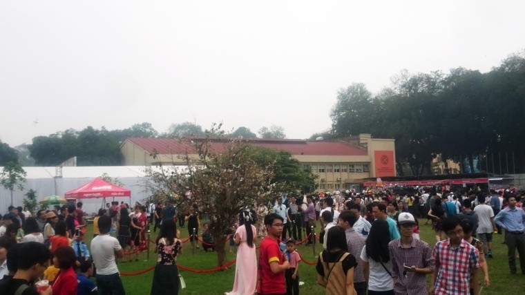 Lễ hội hoa anh đào 2016: Không nhận ra hoa anh đào ảnh 1
