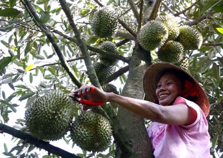 Những thứ để dành của người nông dân ảnh 1