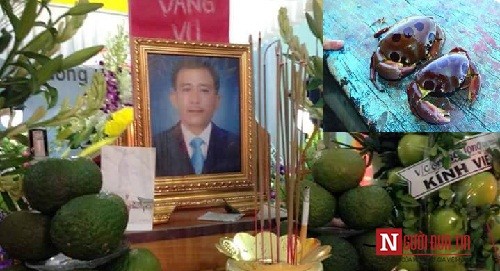 Ngư dân Đà Nẵng mất mạng vì ăn nhầm phải 'cua mặt quỷ' ảnh 1