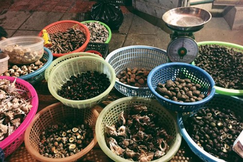 Điểm danh 5 món ăn ngon mà chất không thể bỏ qua ở Hạ Long ảnh 4